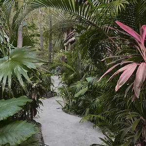 Boutique Terranova 2*, Tulum Messico